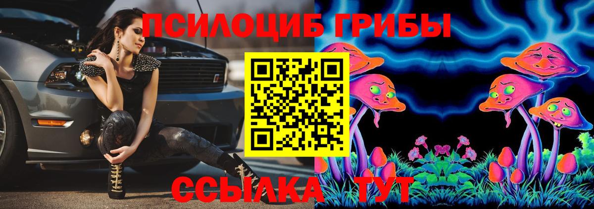 Галлюциногенные грибы Psilocybine cubensis Корсаков
