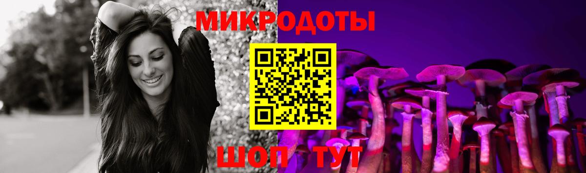 Корсаков  Галлюциногенные грибы мухоморы  Вход с VPN 